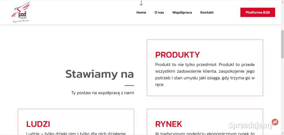 Kompleksowe tworzenie stron WWW SEO i poczta Poznań