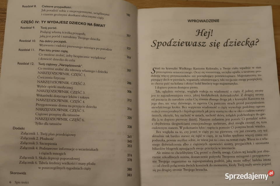 Michael F Roizen i Mehmet C Oz Zdrowa ciąża