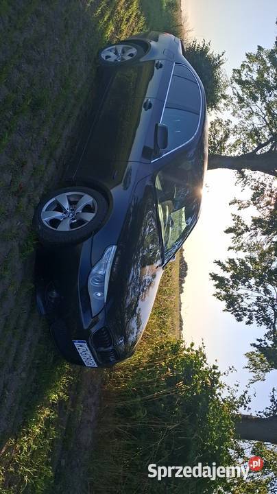 BMW E60 520i 170 M54 2003r światła przeciwmgielne Seria 5