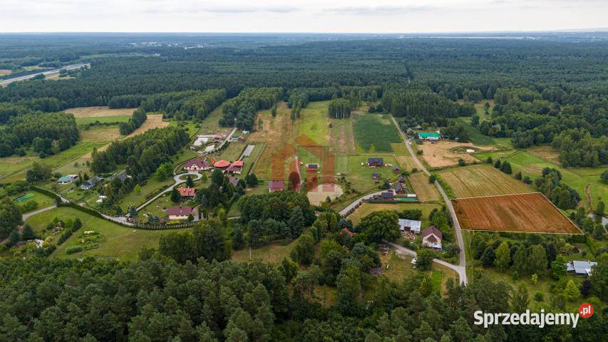 sprzedaży działki Krzywa 3100m2 telefon sprzedam