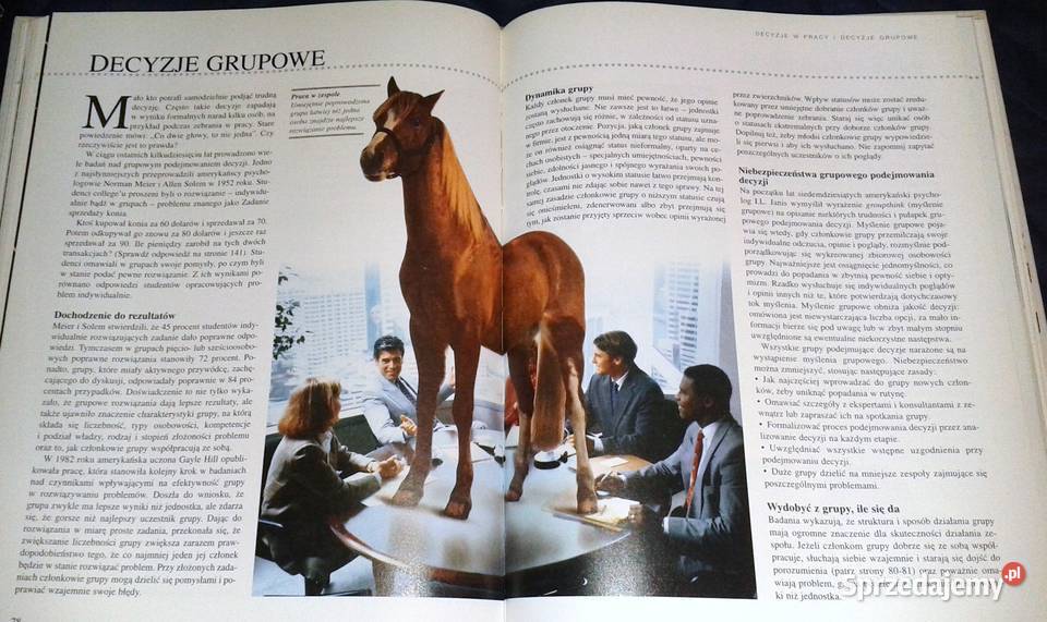 Potęga osobowościTrafne decyzje praca zbiorowa Rok wydania 1997