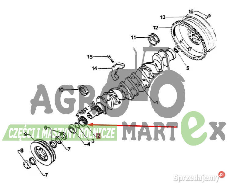 3055028R1 WAŁEK ZĘBATY Z33 CNH Wichrów