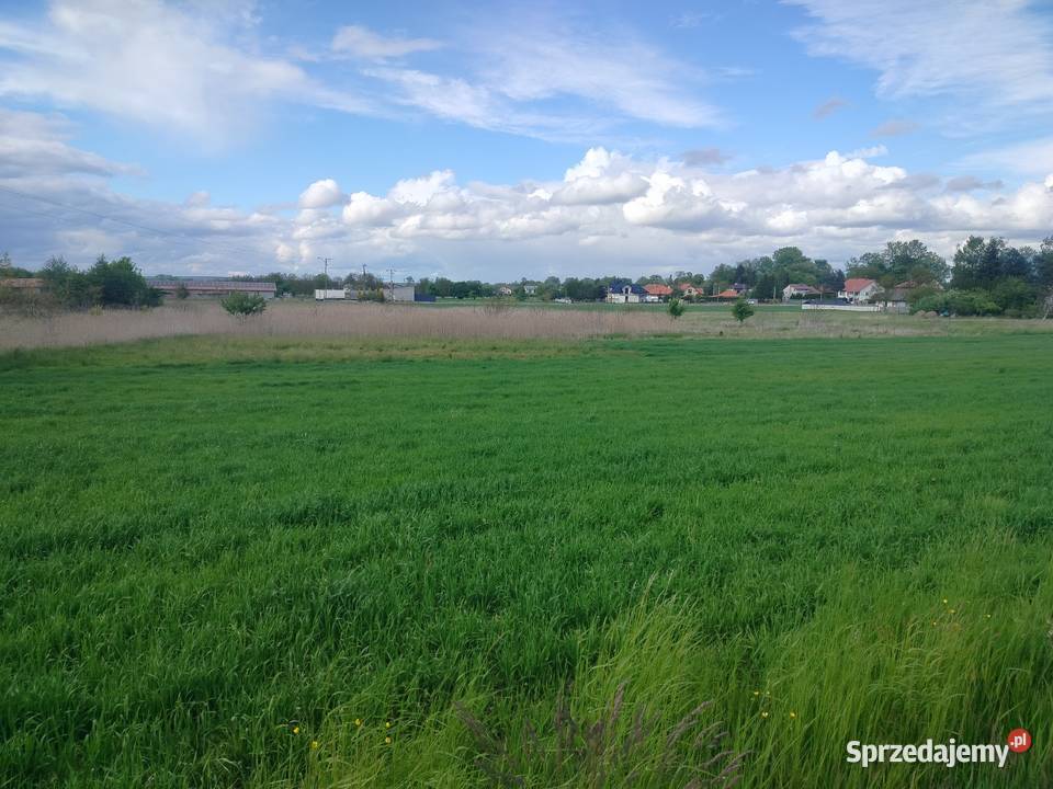 Działka 30 arowa w Głuchowie k Łańcut woj sprzedam