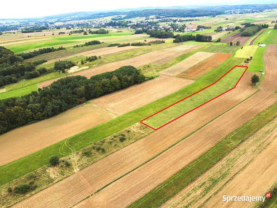 Działka rolna Łajsce sprzedam