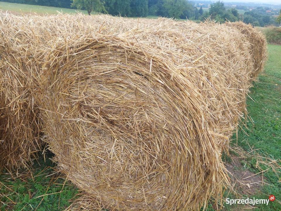 Słoma bele 120x120 małopolskie Dobczyce