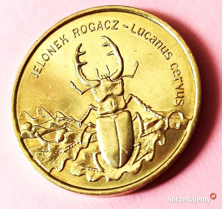 moneta 2 1997 r Jelonek Rogacz Wrocław