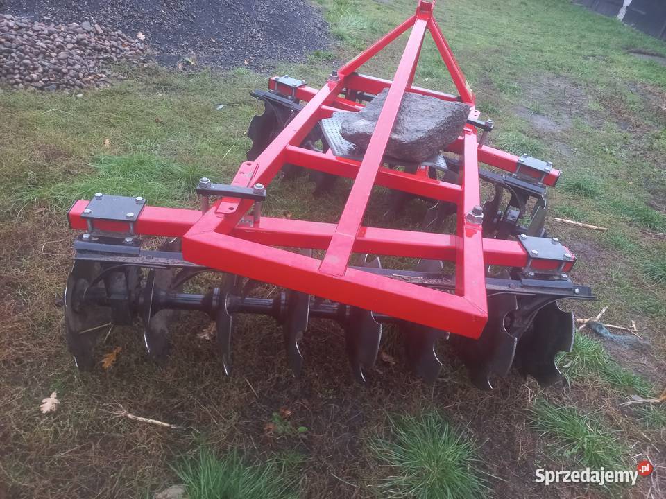 Talerzówka Błaszki