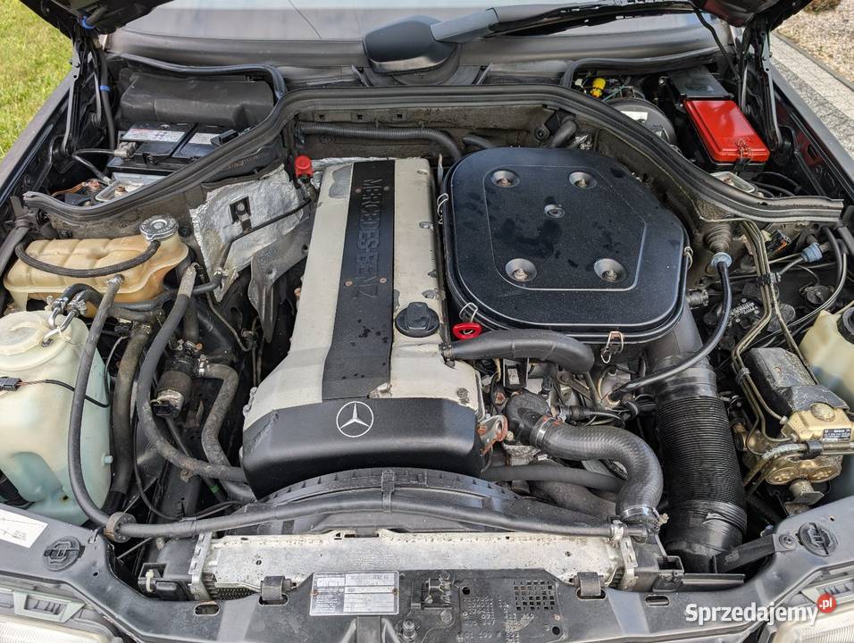 Mercedes Benz 300E24V Sportline
