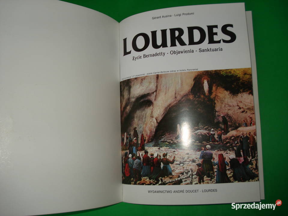 Książka Lourdes wersja Polska mazowieckie Warszawa