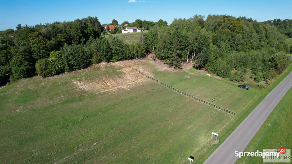 Sprzedam działka TeodorówkaKolonia 2636m2 Teodorówka-Kolonia