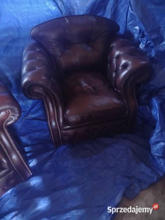 Chesterfield angielski lubelskie Biała Podlaska