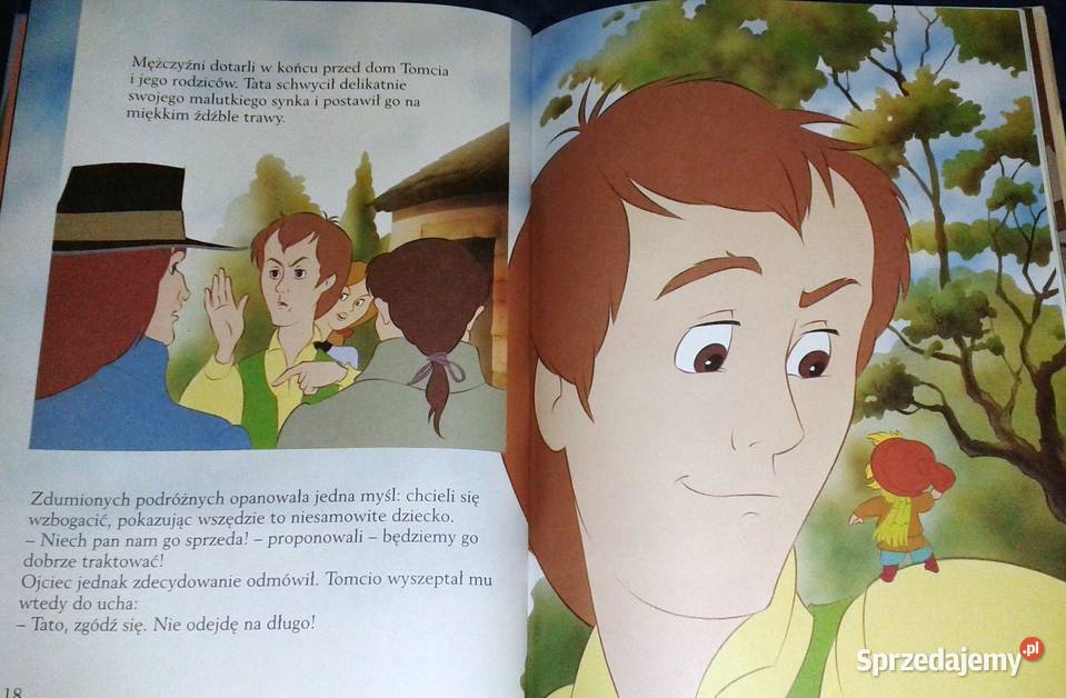 Tomcio Paluch Van Gool Chełm