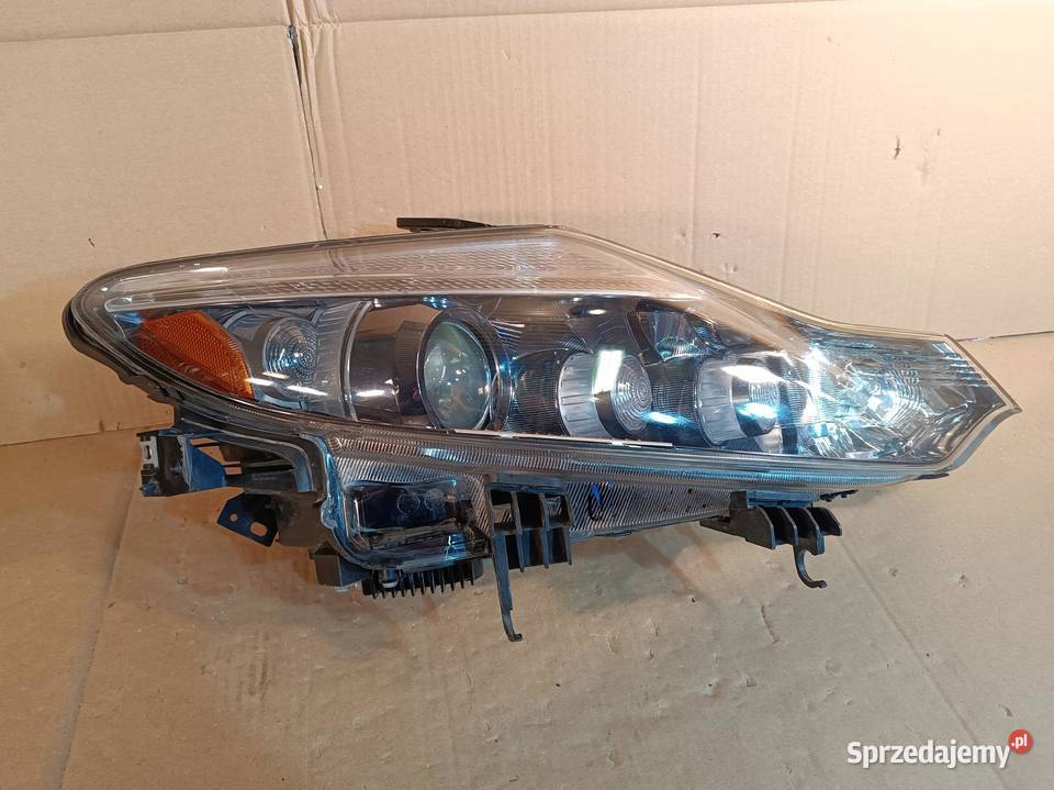 NISSAN MURANO Z51 II LAMPA PRAWY PRZÓD EUROPA Lampy przednie wielkopolskie Nowy Tomyśl sprzedam