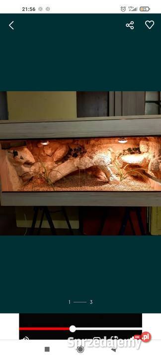 Okazja terrarium agamy gekona żółwia węża