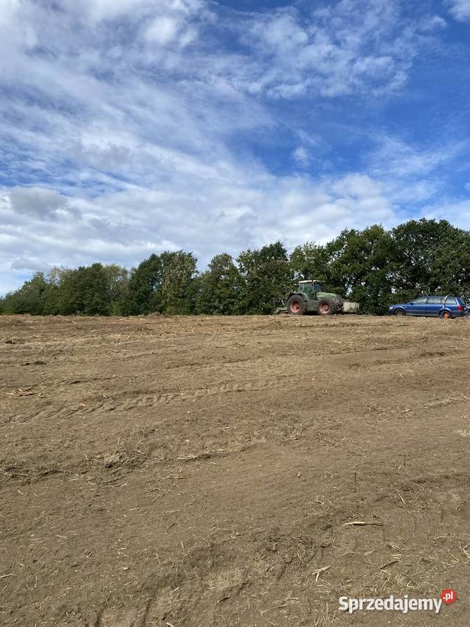 Karczowanie działek mulczer leśny czyszczenie Proszowice prace ogrodowe
