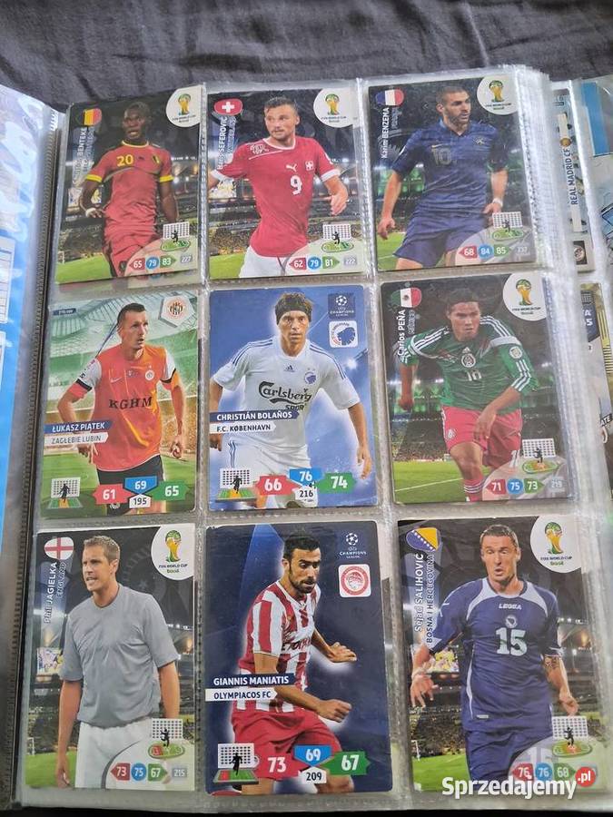Wielka kolekcja kart Panini Adrenalyn XL Poznań