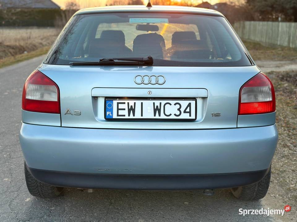 Audi A3 8L 16 8L16 Ekonomiczne Alu zadbany Wieluń