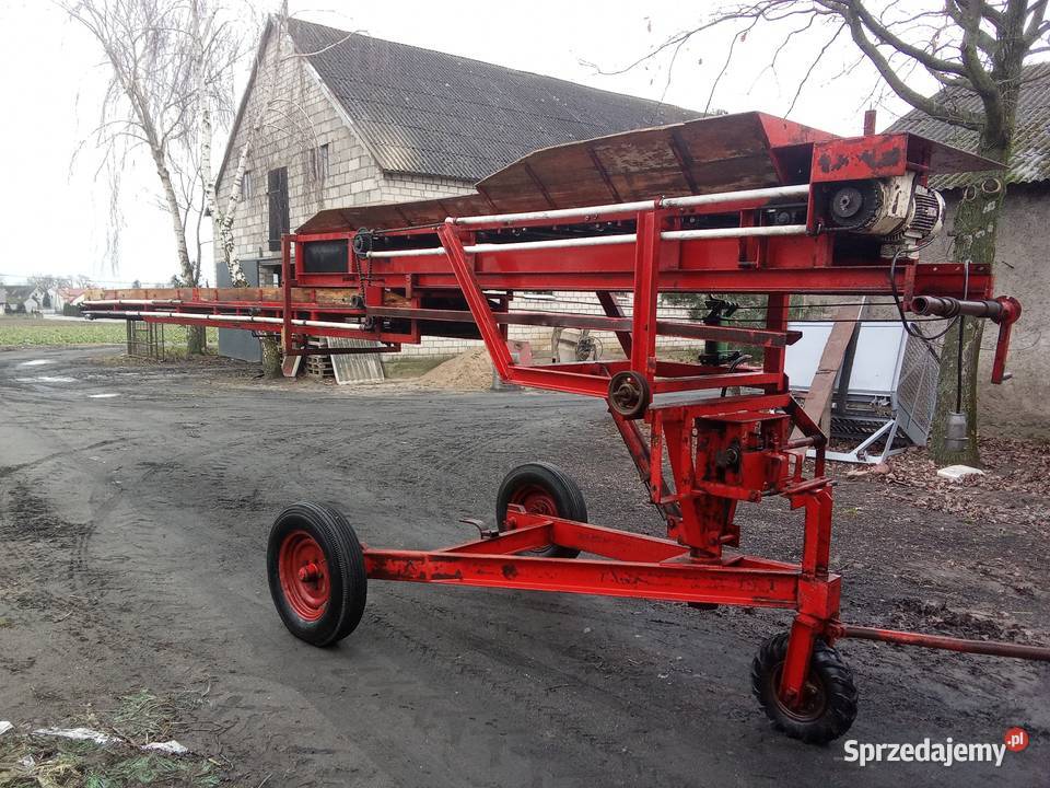 Pryzmownik taśmociąg do warzyw Ostrowąs