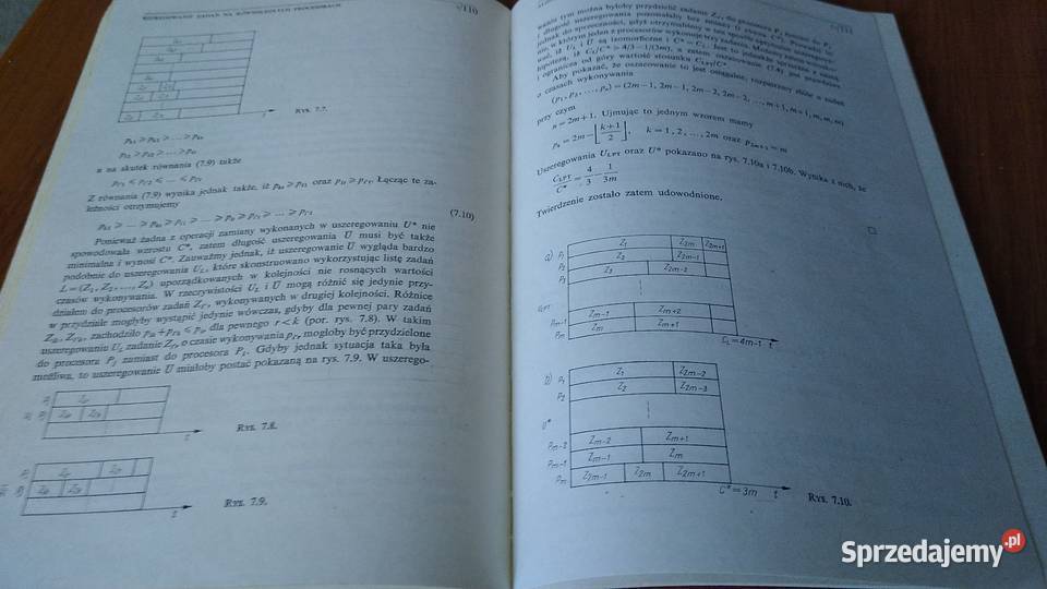 Złożoność obliczeniowa problemów matematyka, statystyka Gdańsk sprzedam