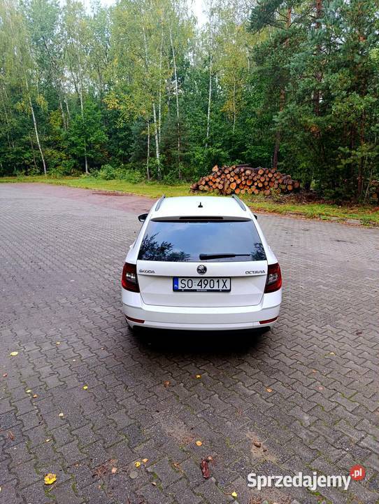 Skoda Octavia III 16 TDI DSG Sosnowiec