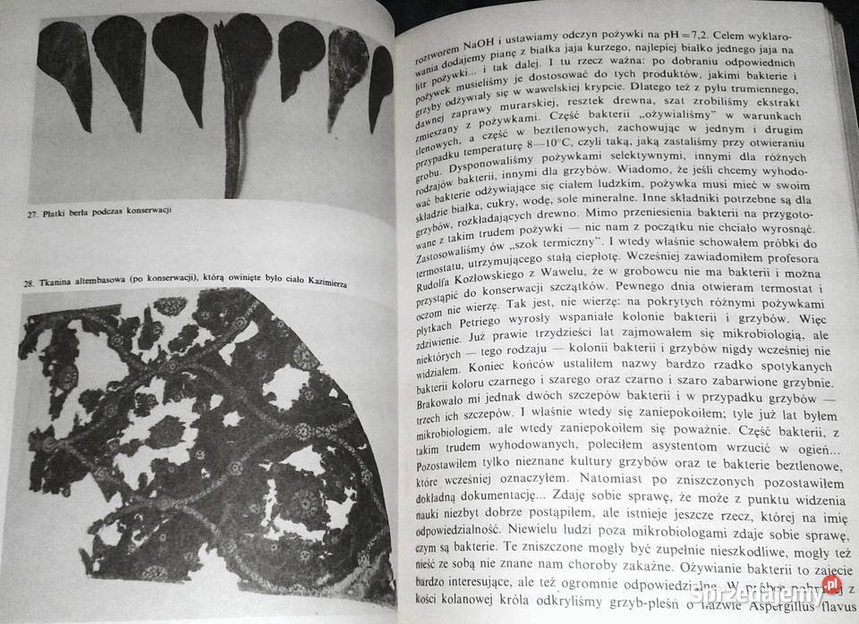Klątwy mikroby i uczeni Tom 1 Zbigniew Święch Chełm