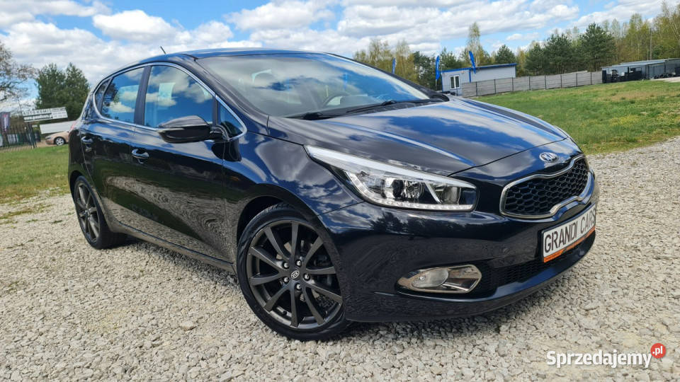 Kia Ceed 16 GDi 135 Bogate Wyposażenie Serwis do serwisowany w ASO Chmielnik
