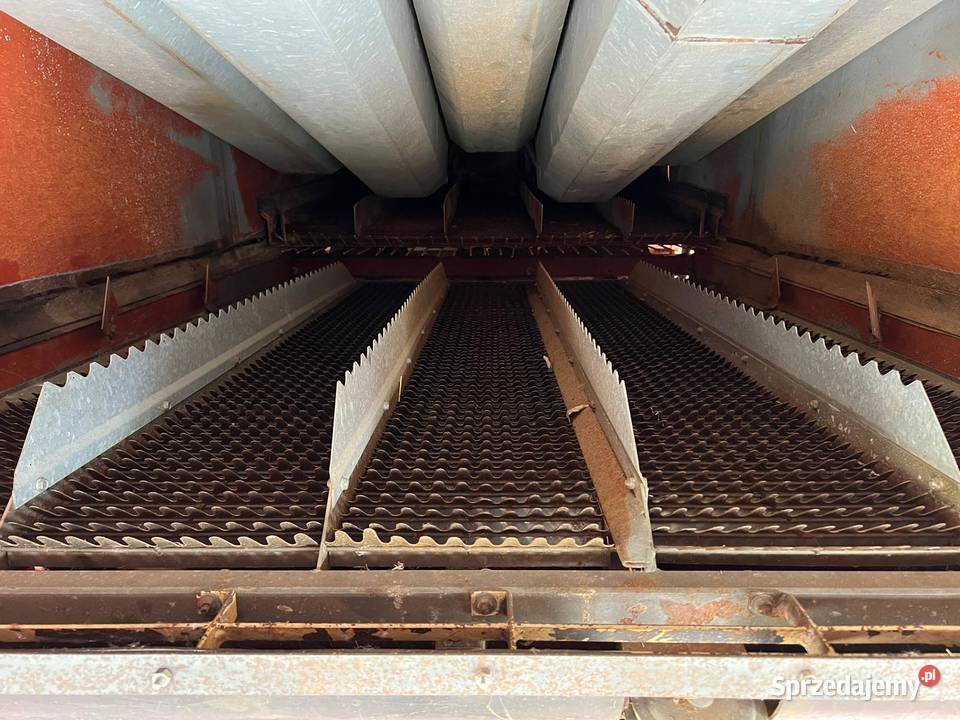 Laverda 3650 z sieczkarnią fiatagri fiat holland Zbożowe lubelskie Czerniejów
