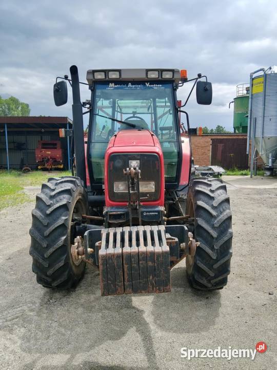 Massey ferguson 6245 Massey Ferguson wielkopolskie Grabów nad Prosną sprzedam