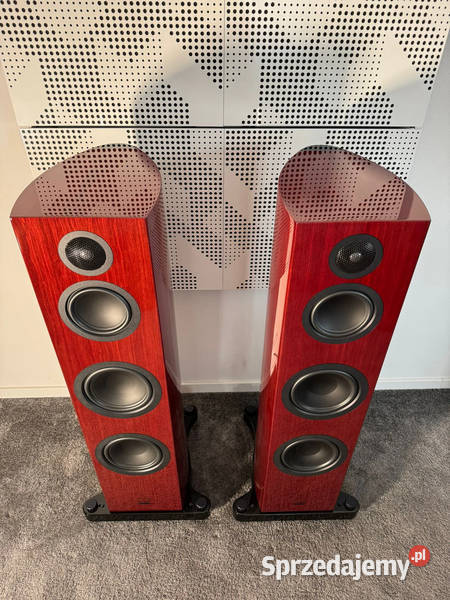 Gauder Akustik Elargo 200 HighEnd Floorstanding małopolskie Rokiciny Podhalańskie
