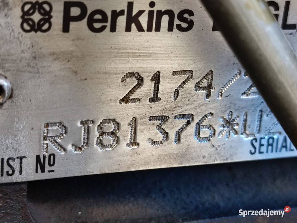 PERKINS RJ81376 Wilkowo