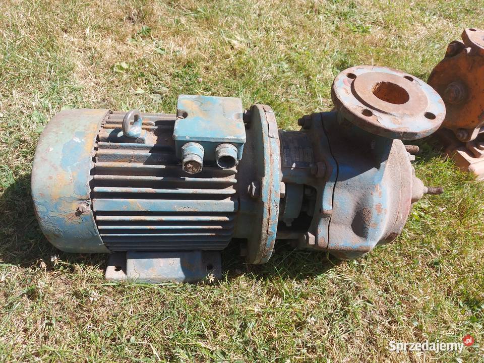 Pompy pompa wody hydroforowa apollo 230v Pompy i hydrofory Stężyca sprzedam
