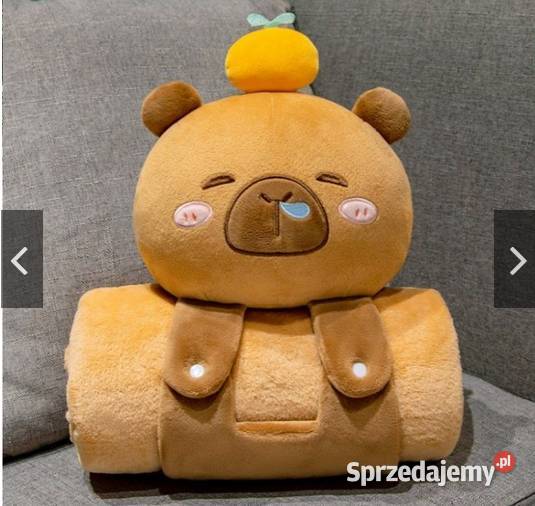 KOc z Poduszką Kapibara śląskie Częstochowa sprzedam