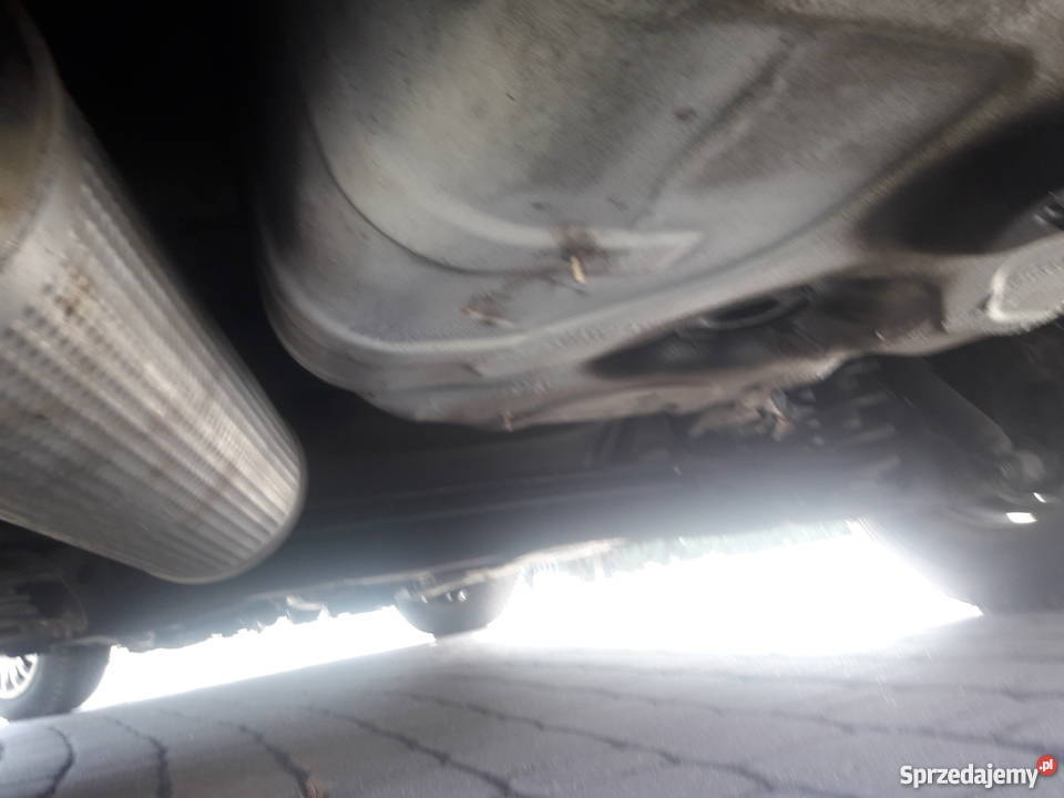 Biały Fiat Stilo na dojazdy do pracy diesel Stilo Kolbuszowa