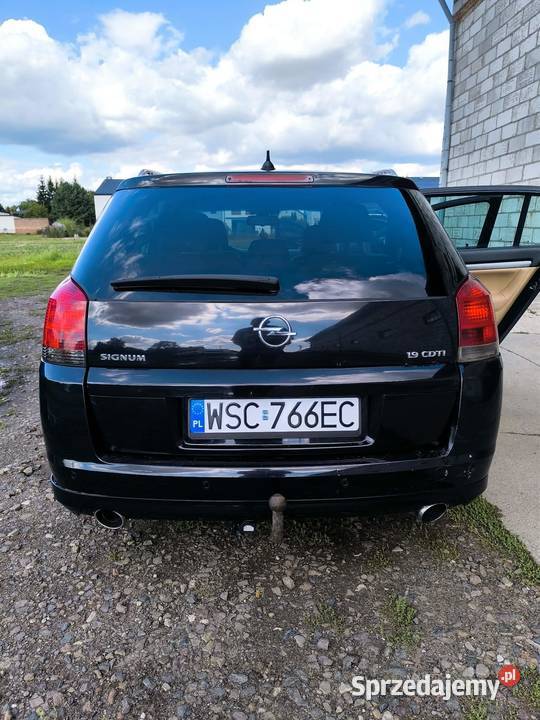 Opel Signum 19CDTI Rok produkcji 2007 mazowieckie Pruszków