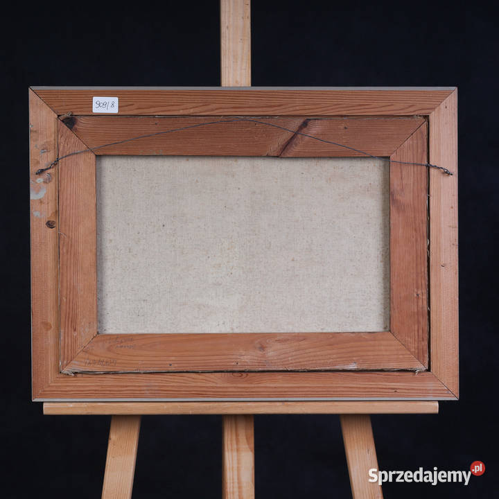 ARTexpert Skandynawski Pejzaż Wiejski Obraz