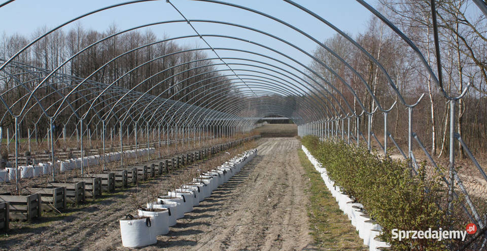 Tunel foliowy TuDo do upraw pod folią Grójec sprzedam