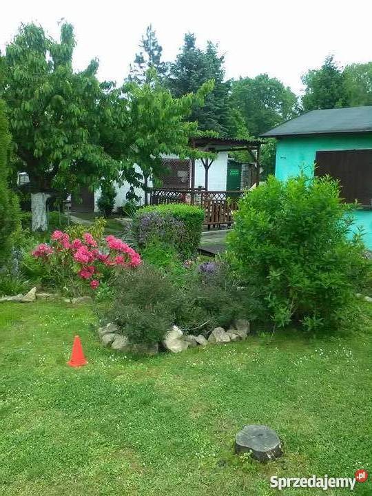 Sprzedam Ogródek działkowy Bytom Łagiewniki Rod śląskie sprzedam