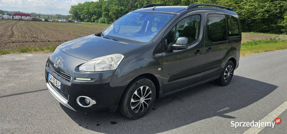 Peugeot Partner 16 Hdi 92 160 II 2008 Pleszew