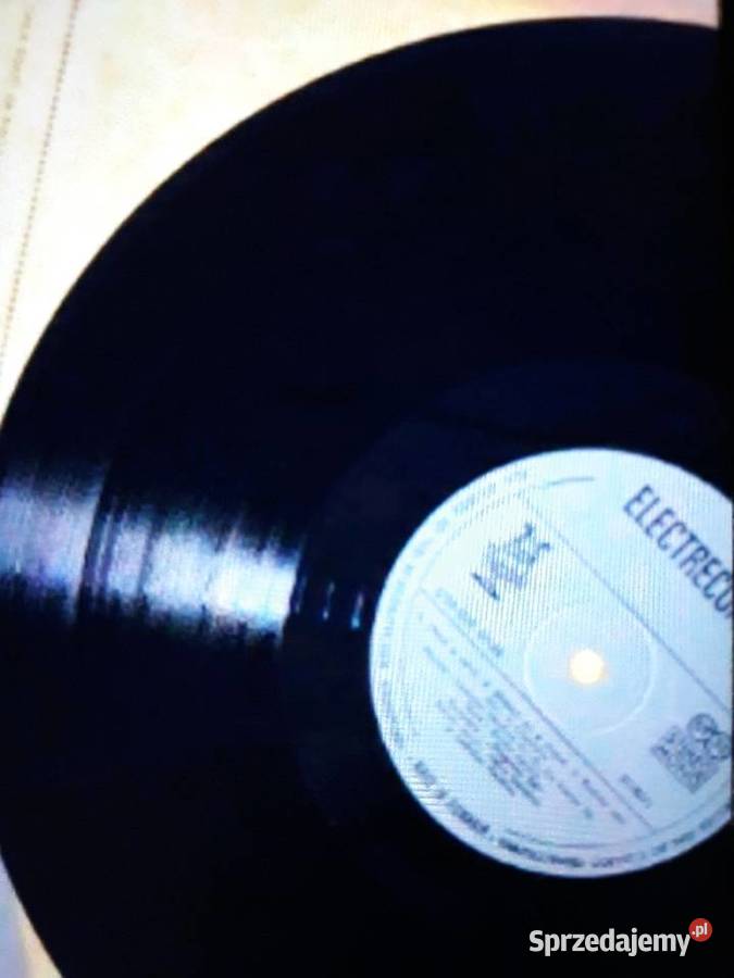 Perła z mojej kolekcji PROGRESIV TM Dreptul De A rock Rzeszów