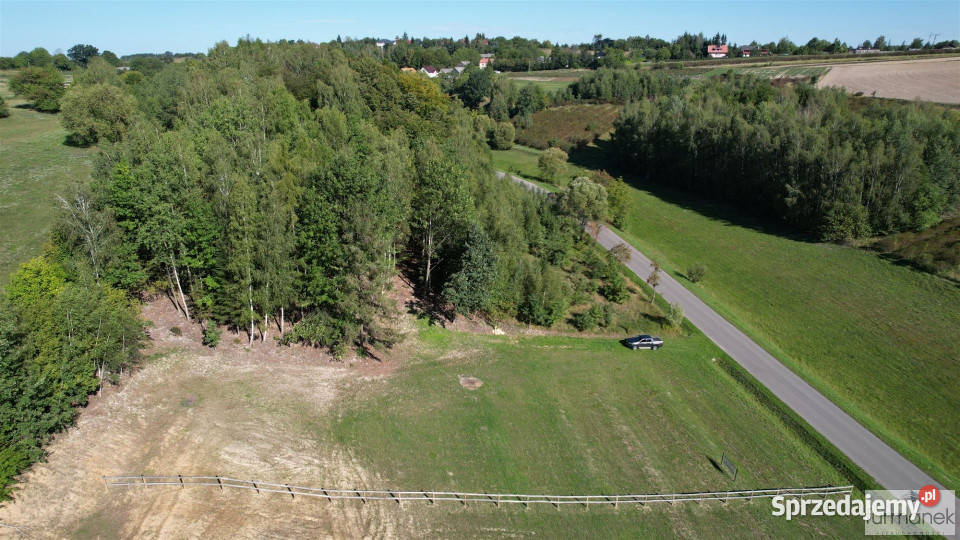 sprzedaży działki TeodorówkaKolonia 4182m2 Sprzedaż Teodorówka-Kolonia
