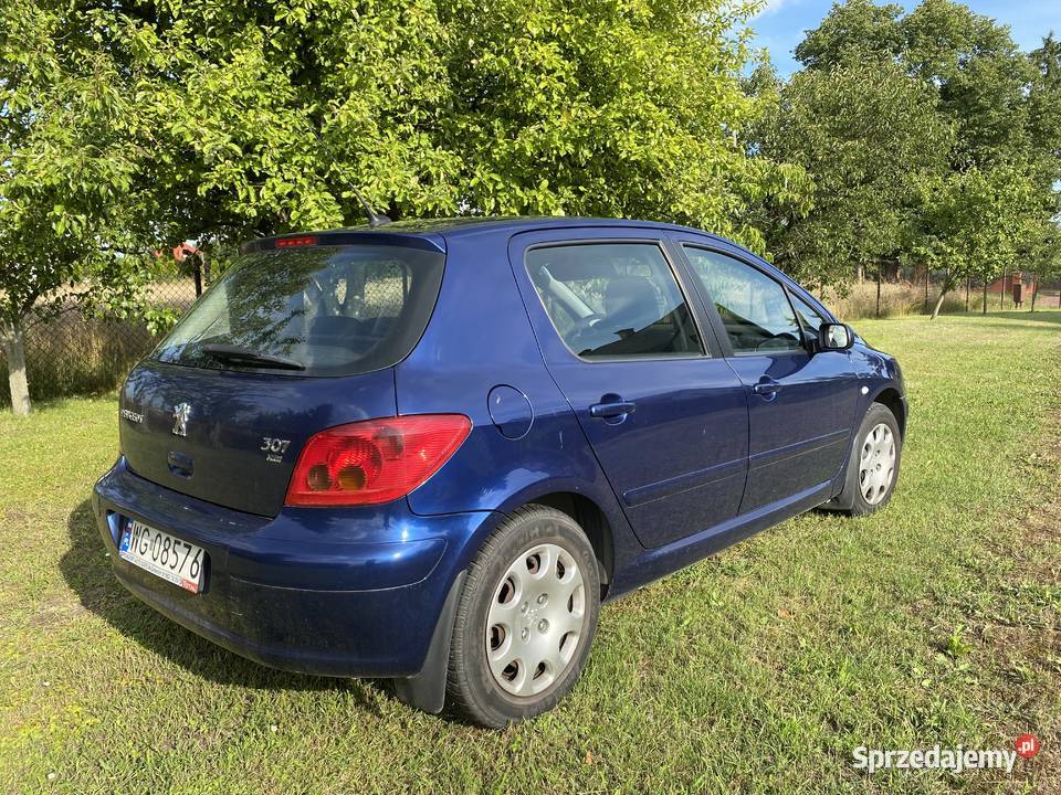 Peugeot 307 salon Polska pierwszy właściciel kupiony w Polsce sprzedam