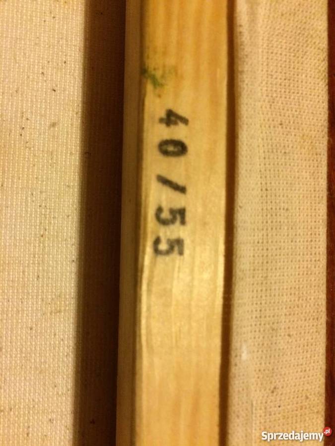 Piękny duży obraz olejny uznanej polskiej