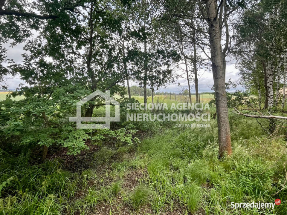 sprzedaży gruntu Kłosowo 1214m2
