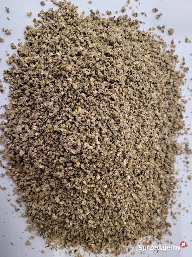 Pasza Indyk 1 Piast 25 Pierwszy Etap Odchowu Liszki