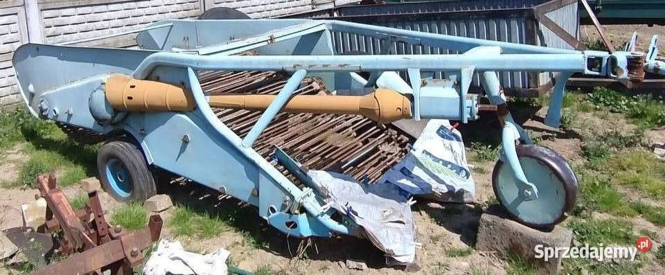 Kopaczka do ziemniaków świętokrzyskie Grocholice