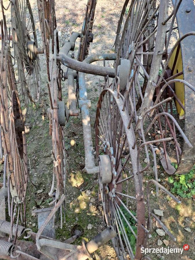 Słoneczko przewracarka nieuszkodzony Nowa Słupia sprzedam