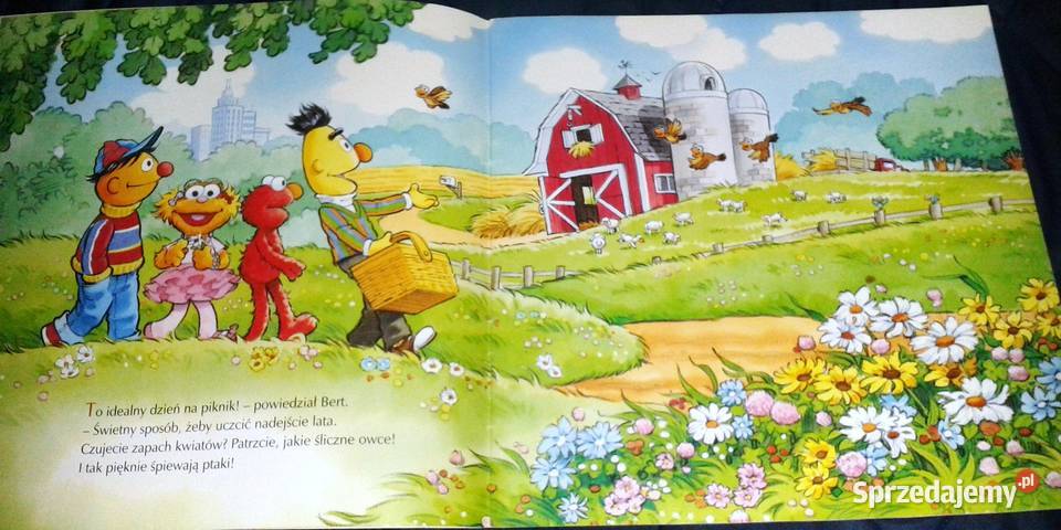 Doskonały piknik Sarah Albee sprzedam