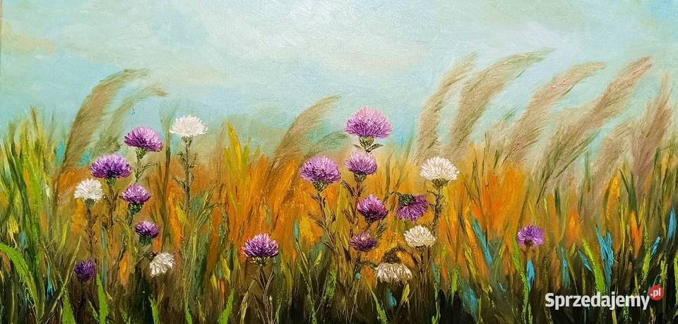 Obraz olejny Łączka z ostami Wyposażenie wnętrz Lublin