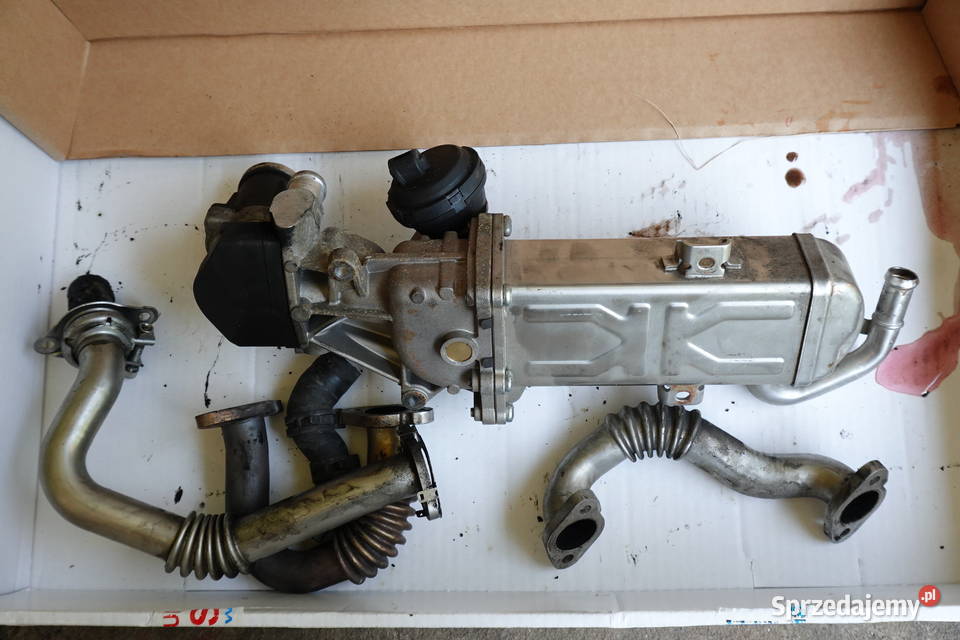 EGR VW sprzedam sprawny originalny 16 tdi CYAC Szczecin