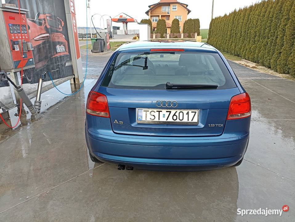 Audi A3 8P 2005 19 TDI BKC Starachowice